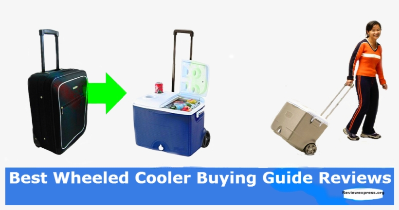 Best Wheeled Cooler - Rubbermaid Specialty 2a9100pabl 45 Qt Wheeled Cooler, transparent png #1266397