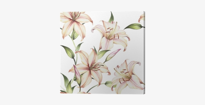 Clip Art Freeuse Library Amaryllis Drawing Lilly - Dibujar Lirios, transparent png #1266558
