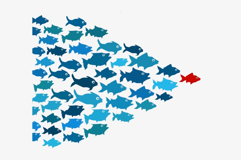 School Of Fish Png - School Of Fish Leader, transparent png #1266615