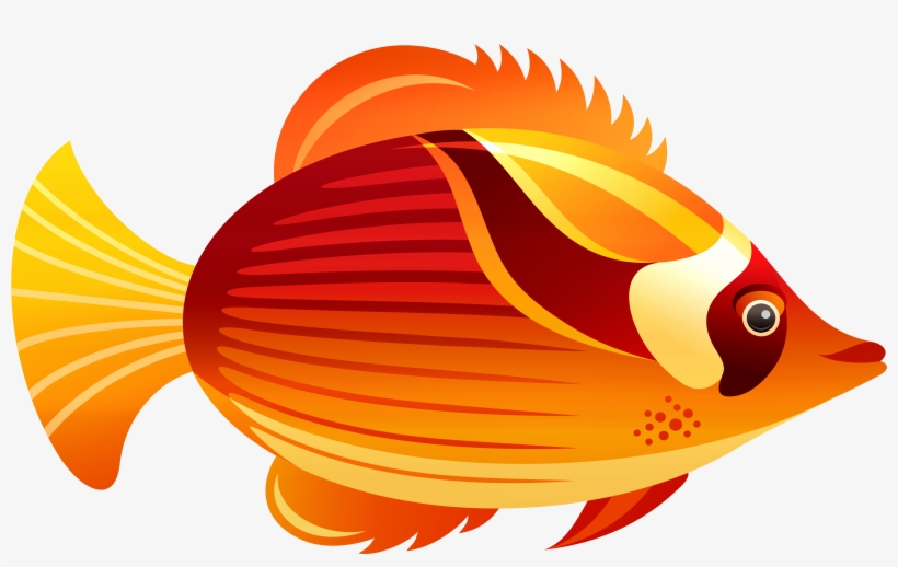 Orange Fish Png Clip Art, transparent png #1267099