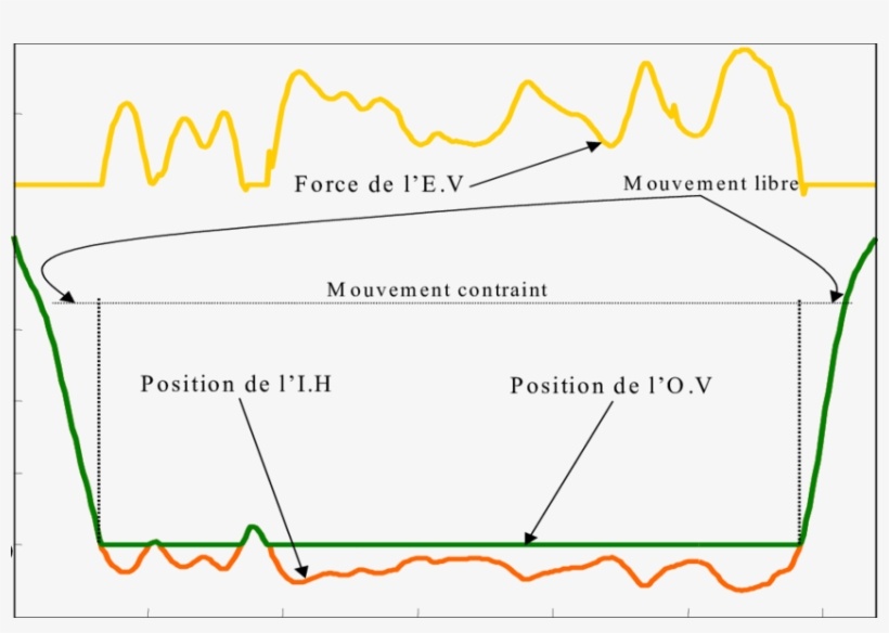 Interaction Haptique Sans Retard De Transmission - Diagram, transparent png #1270114