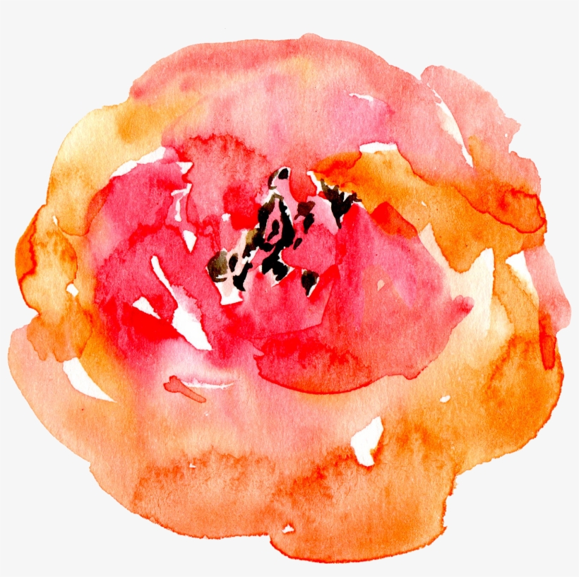 I Always Check About Any Theme Or Particular Colours - Watercolor Paint, transparent png #1270380