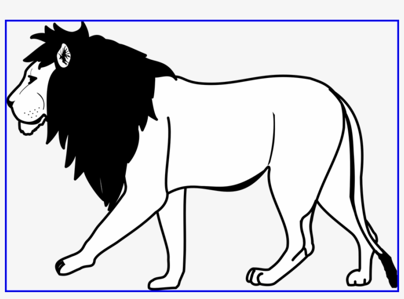 Amazing Line Drawing Library A U Activities - Clipart Black And White Lion, transparent png #1270540