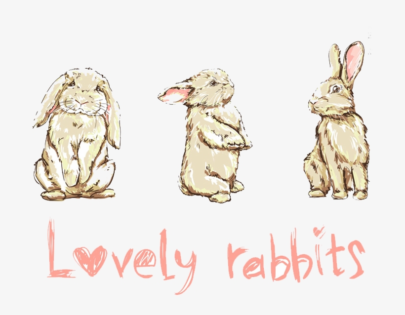 Earrings Drawing Cartoon - Rabbit, transparent png #1270714