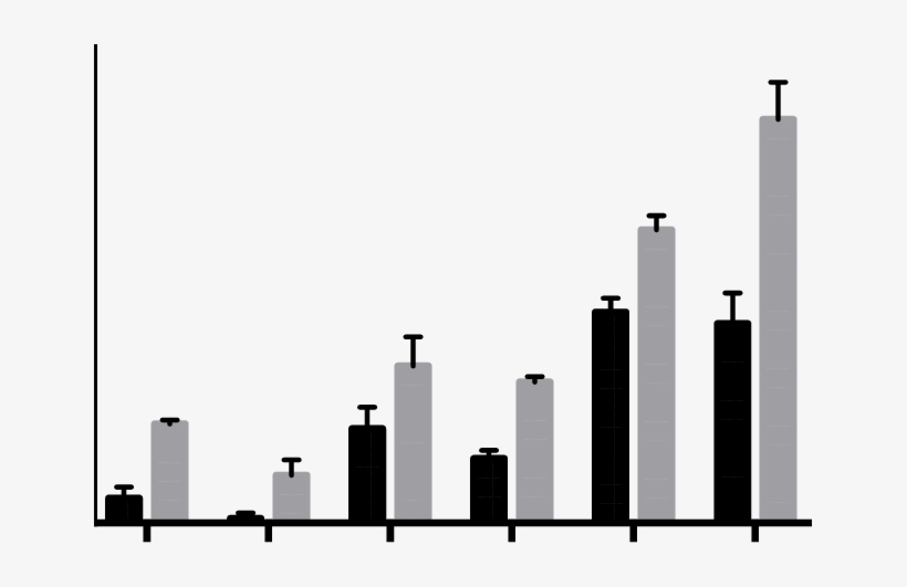 Live Coral At Six Replenished Plots At Lbcnp, In 2014 - Ptgs1, transparent png #1272798