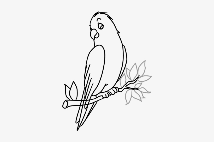 How to draw Beautiful Birds Sitting on Tree / Easy Beautiful Birds 003 ...  | Tree drawing, Drawings, Beautiful birds