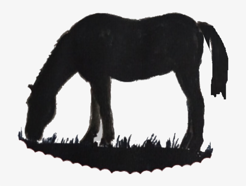 Grazing Horse Silhouette - Horse, transparent png #1273024