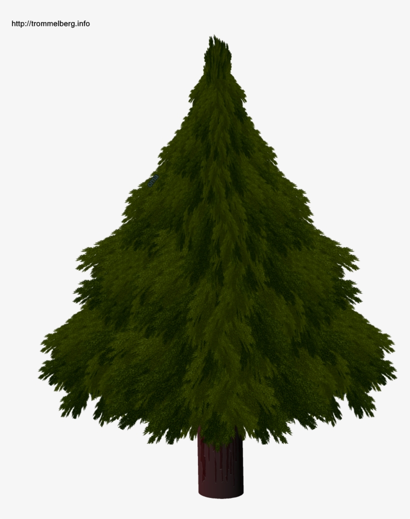 Christmas Tree Drawing Realistic Com Free For Realistic - Christmas Tree, transparent png #1273074