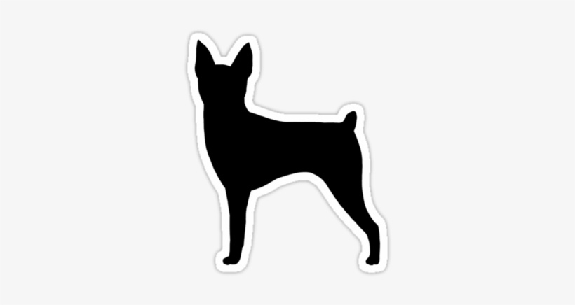 Fox - Toy Fox Terrier, transparent png #1274138