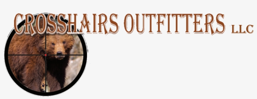 Crosshairs Outfitters, Llc - Frameless Bear Best Arabic Numbers New Style Round, transparent png #1275527