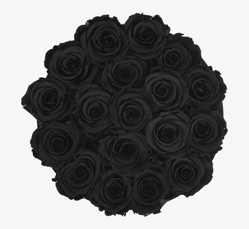 Prev - New York City, transparent png #1275644