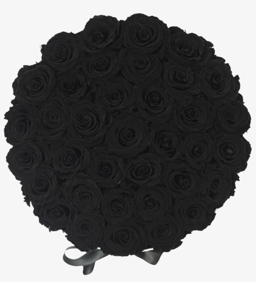 Orb Grand Black Roses - Black Rose, transparent png #1275719