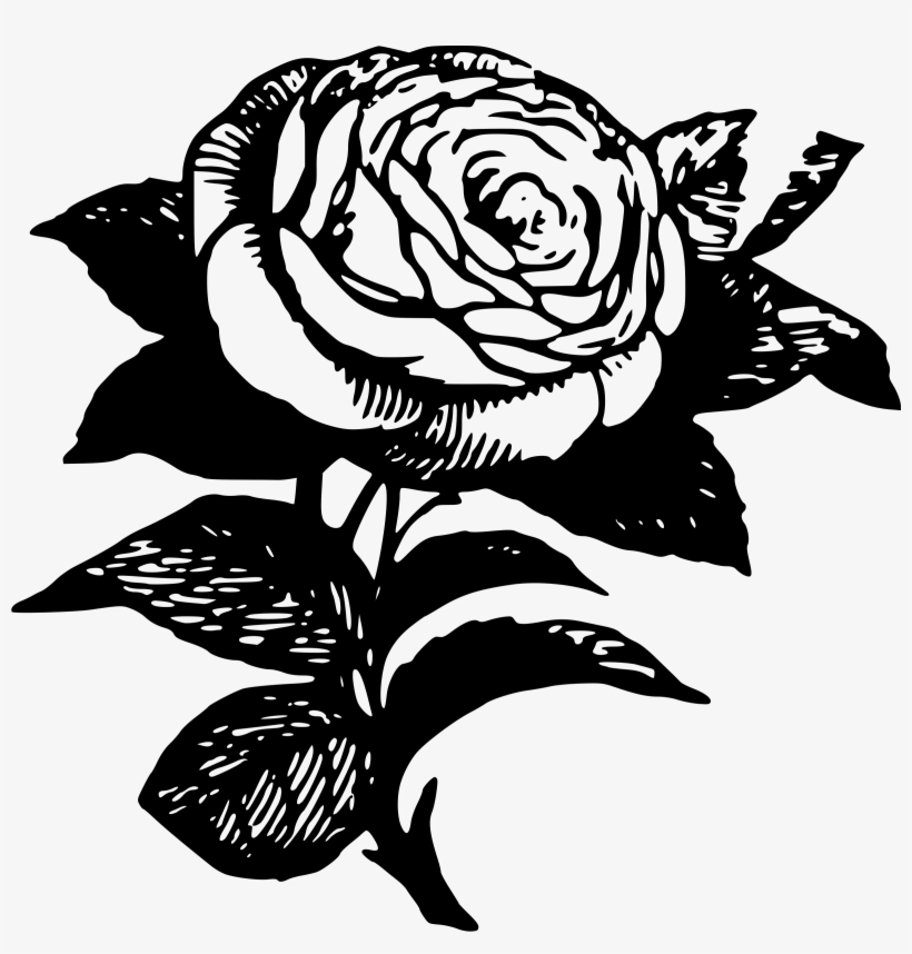 Black Rose Flower Drawing Black And White, transparent png #1275774