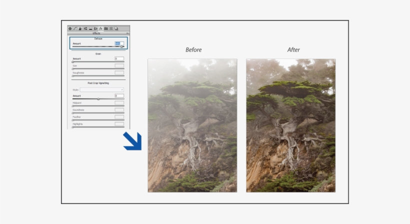 Dehaze - Point Lobos, transparent png #1275996