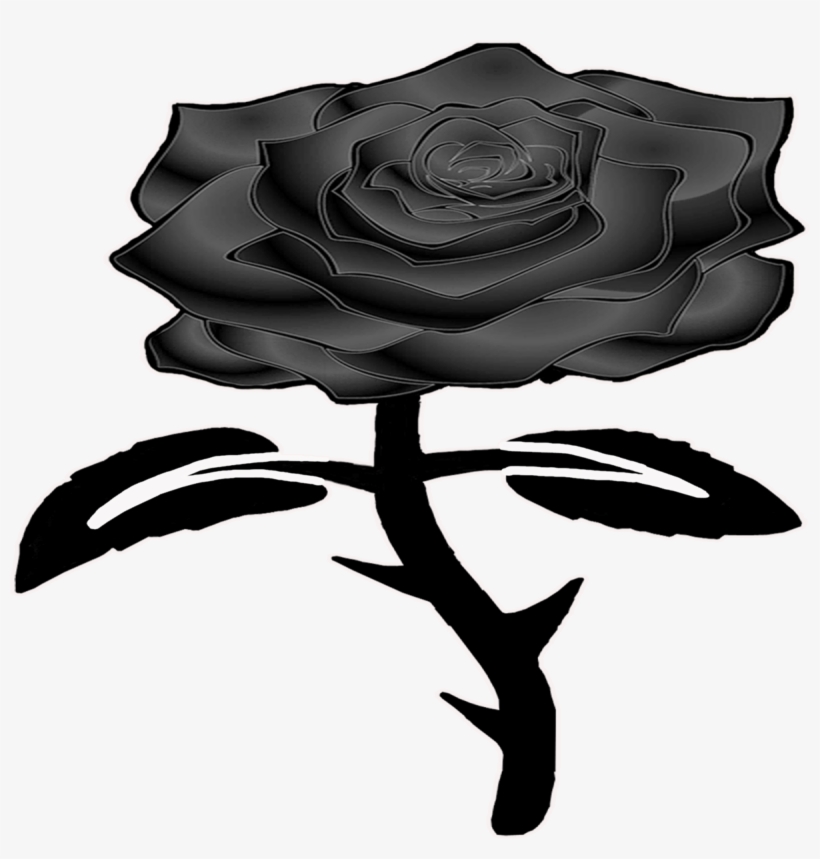 Here At Black Rose We Offer A Unique Selection Of Products - Garden Roses, transparent png #1276392