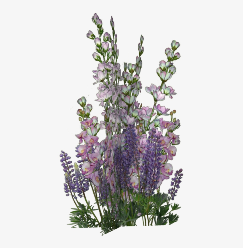 Pin By Jadwiga On Kwiaty Transparent - Flower, transparent png #1277160