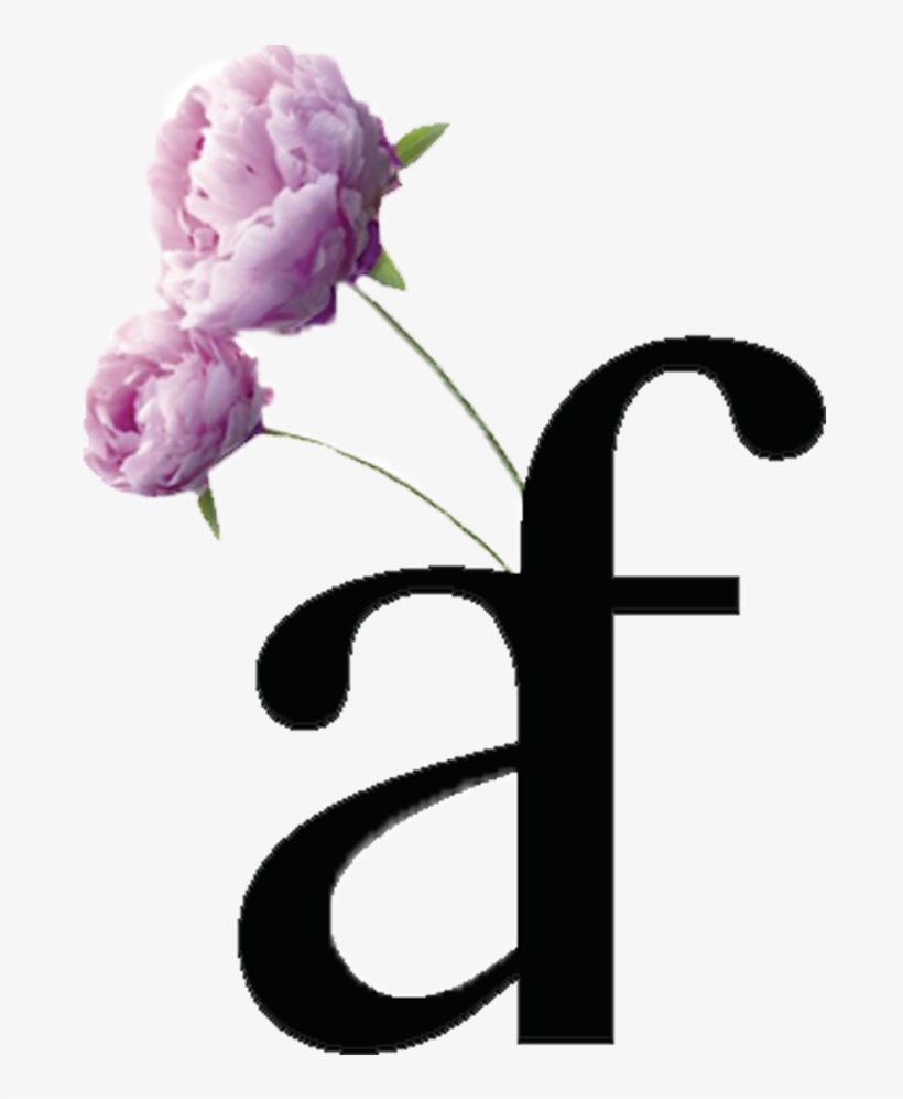 Andes Florist Place Of Roses, transparent png #1277200