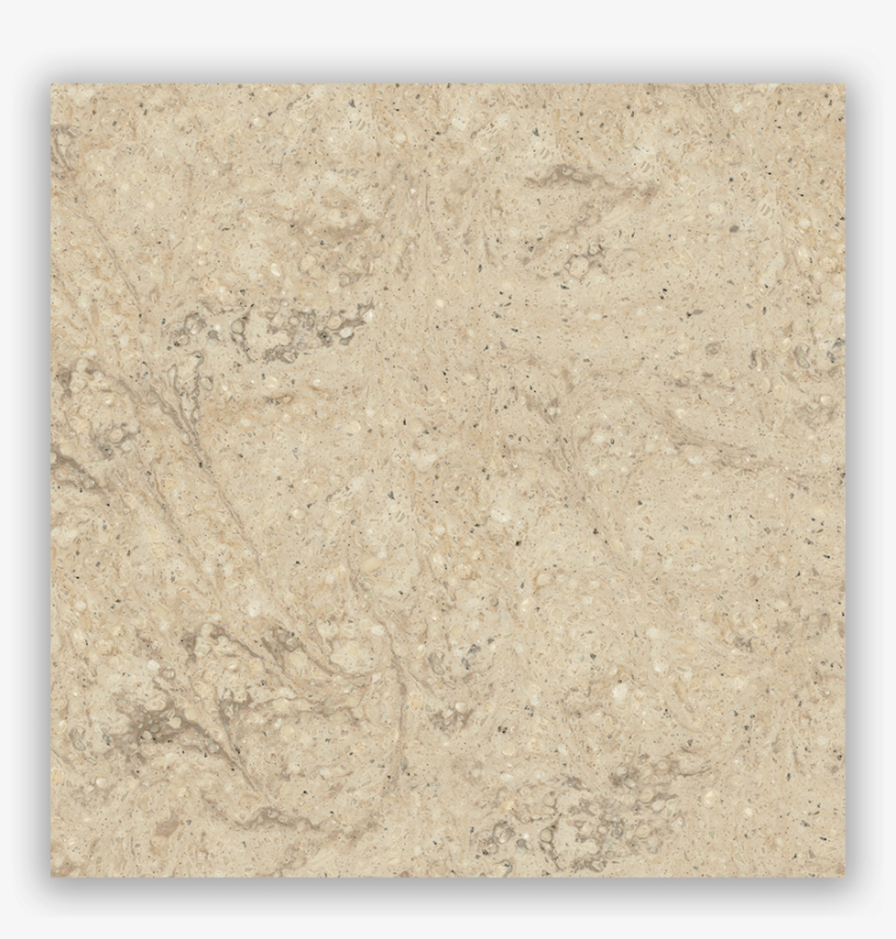 Tumbleweed - Concrete, transparent png #1277364