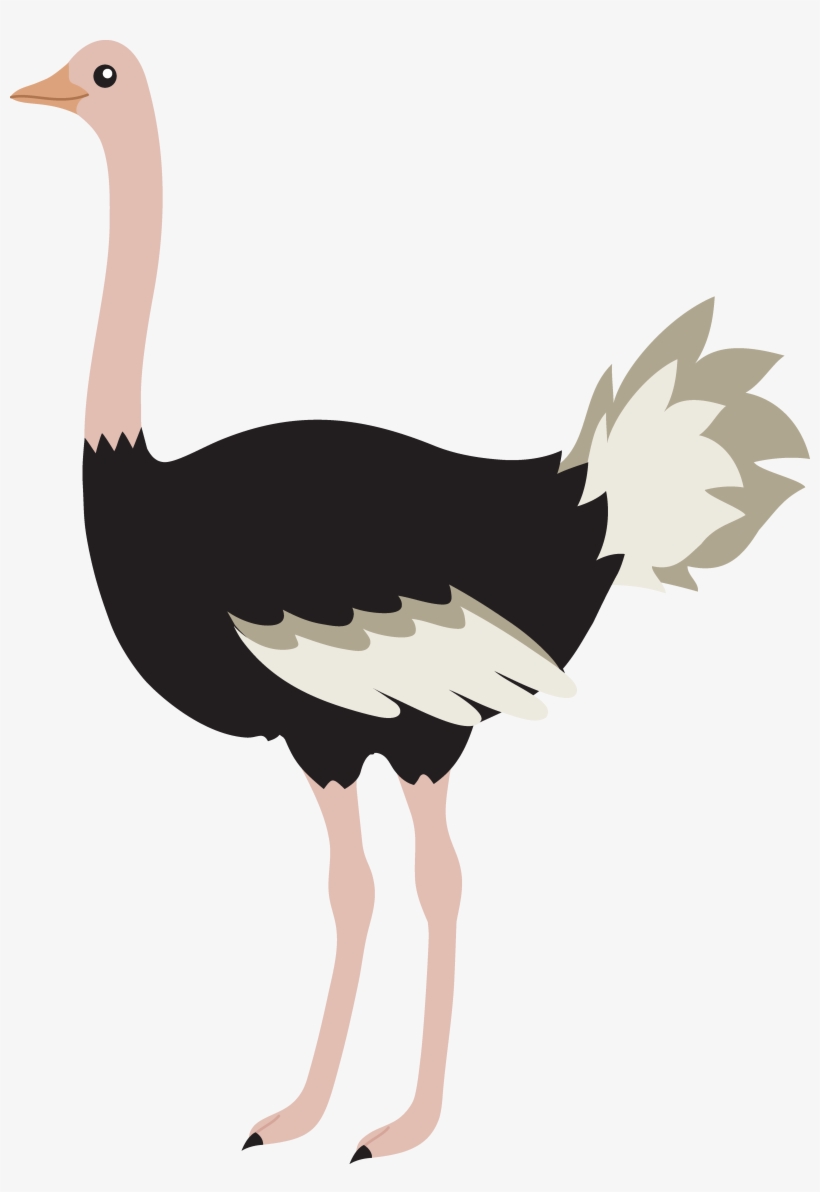 Ostrich Png Image - Ostrich Clipart, transparent png #1278984