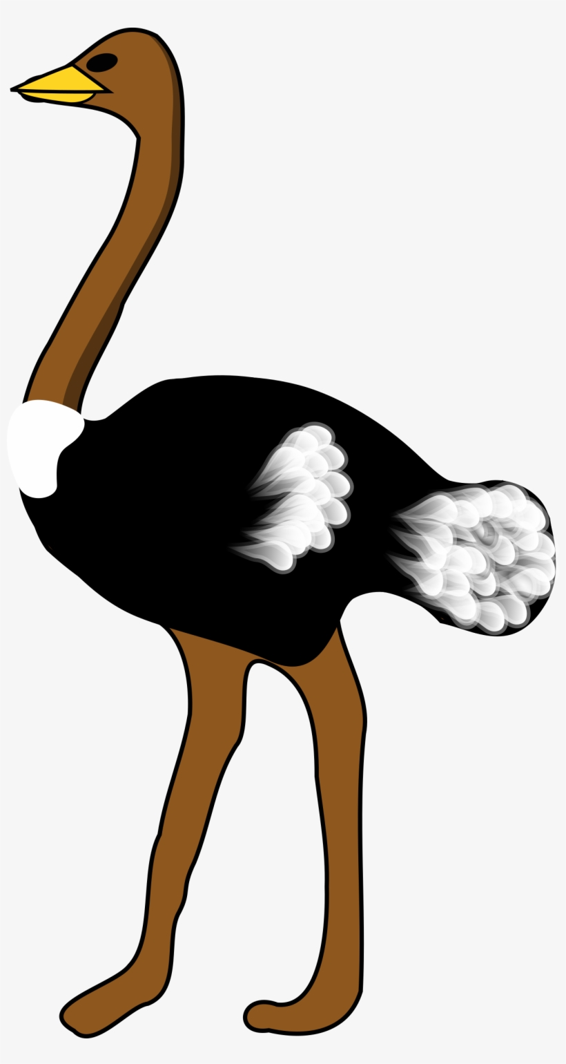 Ostrich Png, transparent png #1279106
