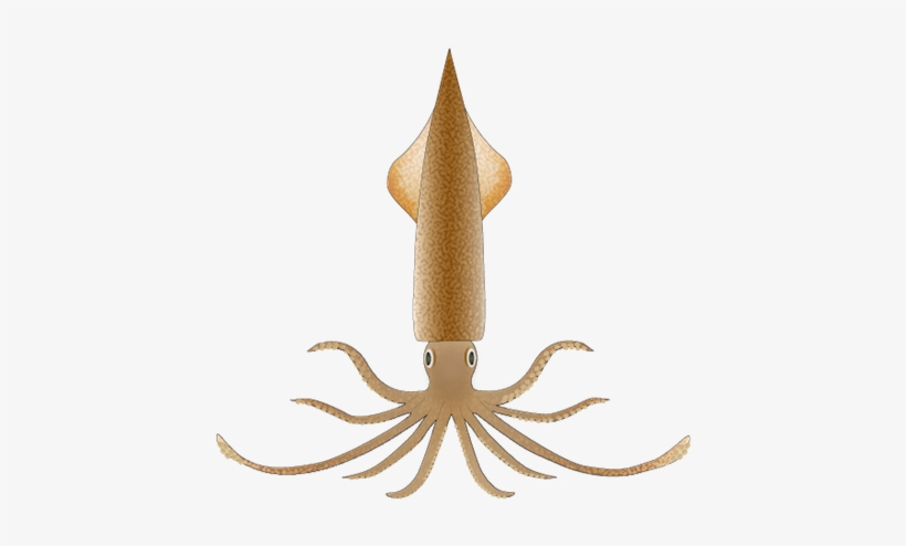 Spear Squid - Giant Squid, transparent png #1279518