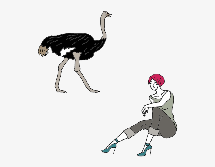 Ostrich - Dream Dictionary, transparent png #1279616
