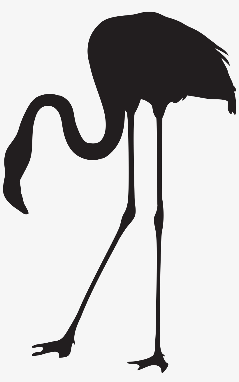 Png Download Flamingo Silhouette Clip Art At Getdrawings - Flamingo Silhouette Png, transparent png #1279689