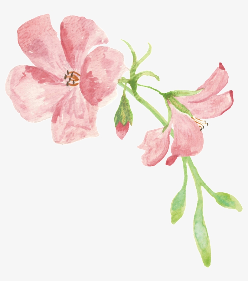 Portable Network Graphics, transparent png #1279690