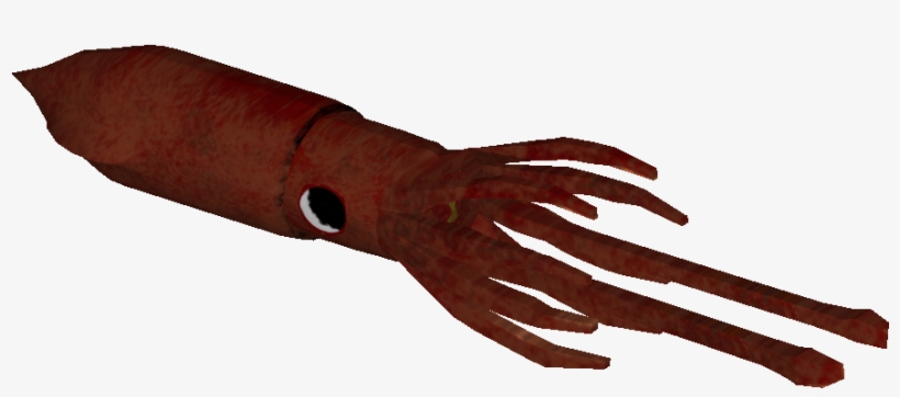 Squid - Giant Squid, transparent png #1279822
