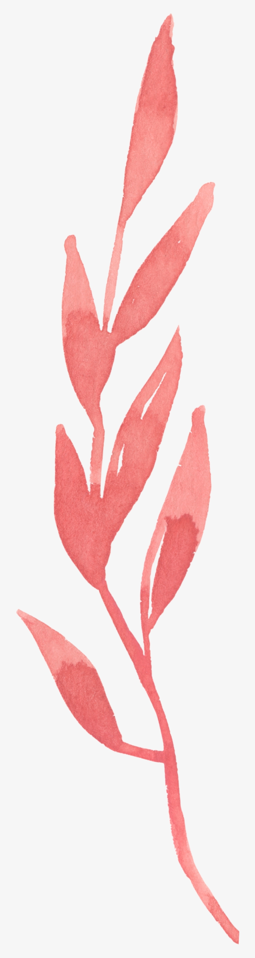 This Graphics Is Ink Leaf Transparent Decorative About - Color, transparent png #1279860