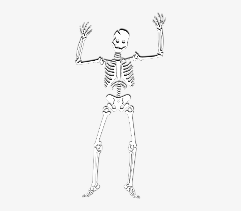 Skeleton, Halloween, Witch, Corps, Ghost, Skull, Spooky - White Skeleton Png, transparent png #1279864
