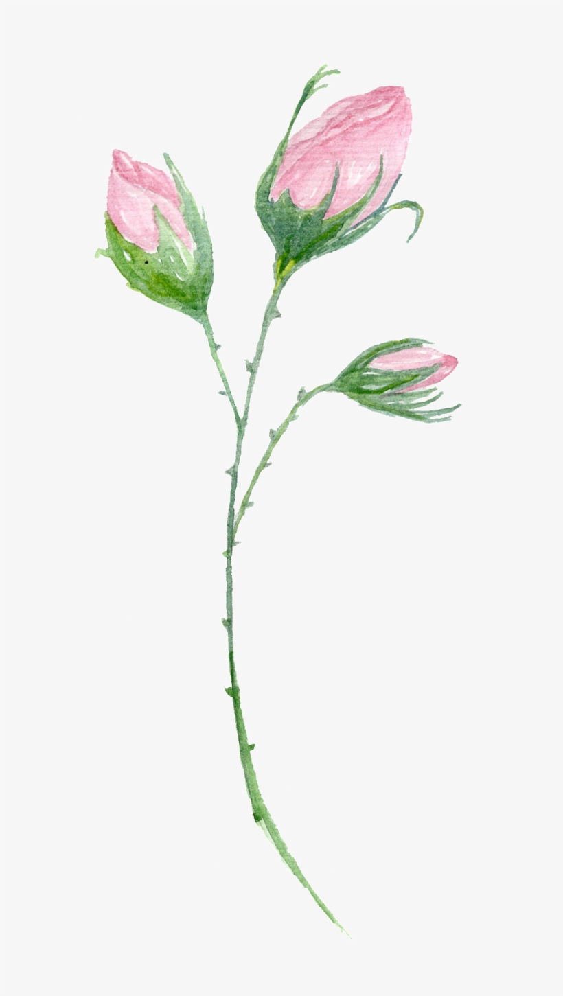 Transparent Decorative For A Stamen - Clip Art, transparent png #1279892