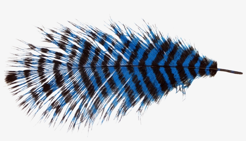 Fur Vector Ostrich Feather - Ostrich Feather Png, transparent png #1279893