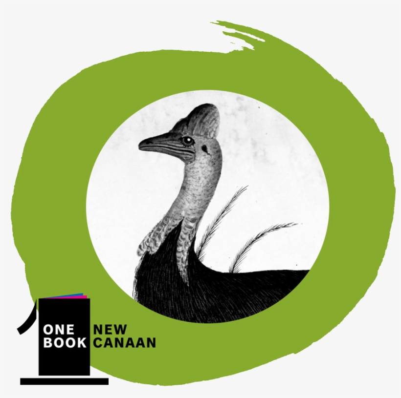 Venture Into The Strange, Wondrous, And Dangerous Animal - Wood Duck, transparent png #1280012