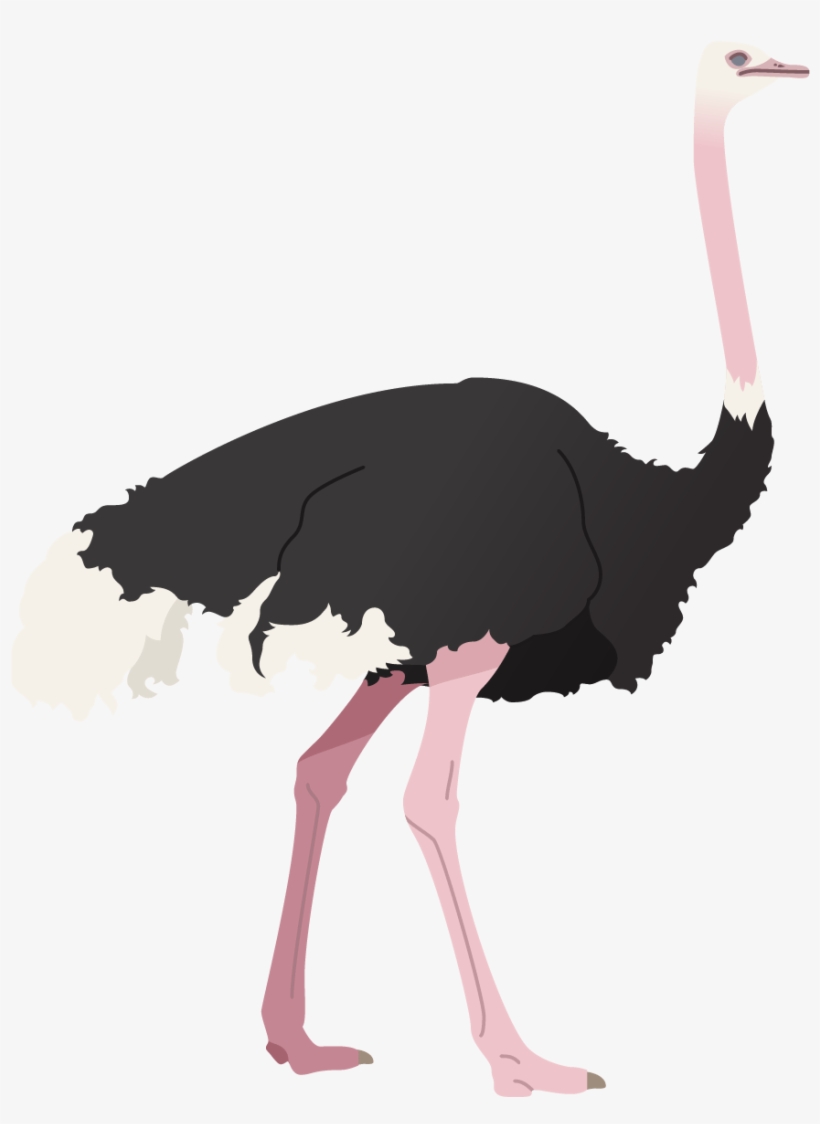 Gomma: Usciamo! Ora! Cd, transparent png #1280091