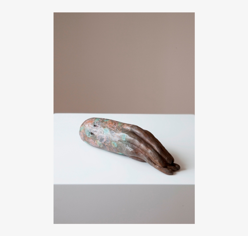 Sick Squid - Laura Ford Of Sullivan, transparent png #1280110