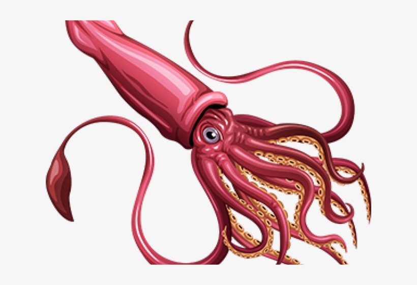 Squid Reference, transparent png #1280149