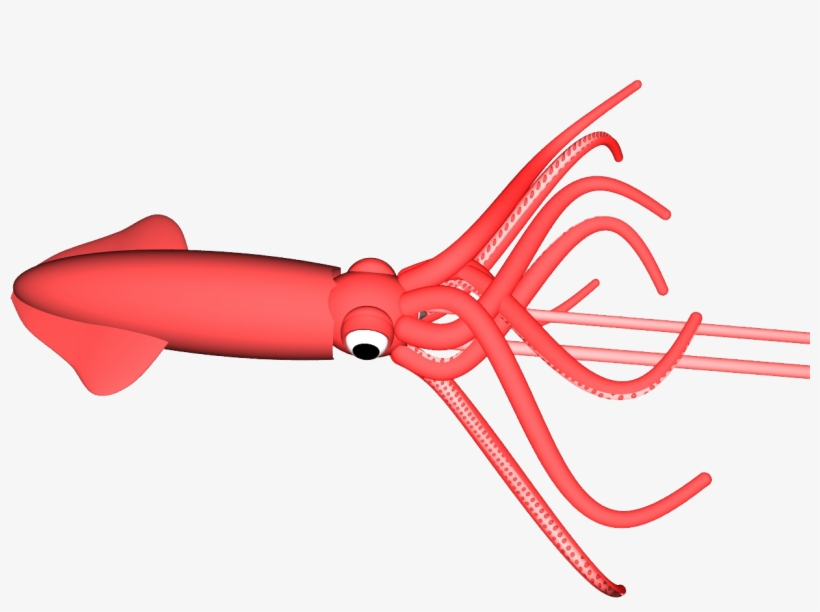 Colossal Squid, transparent png #1280332