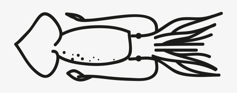 Argentine Squid - Illex Illecebrosus, transparent png #1280437