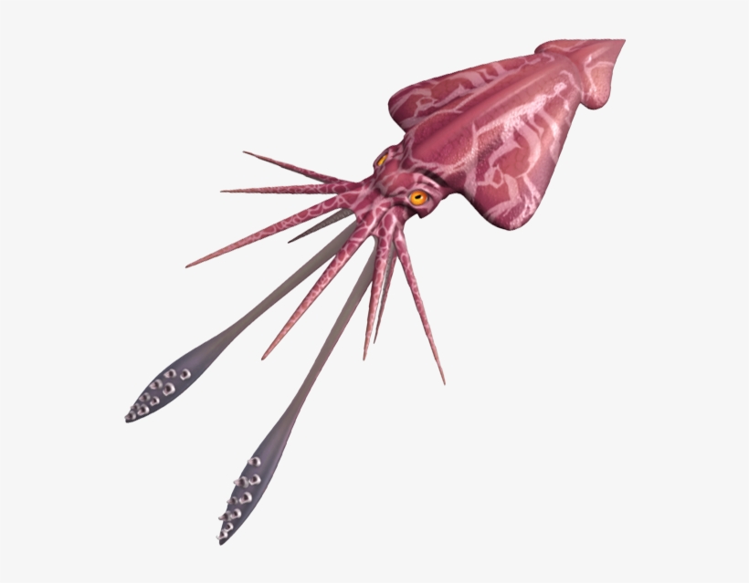 Colossal Squid - Moths And Butterflies, transparent png #1280531