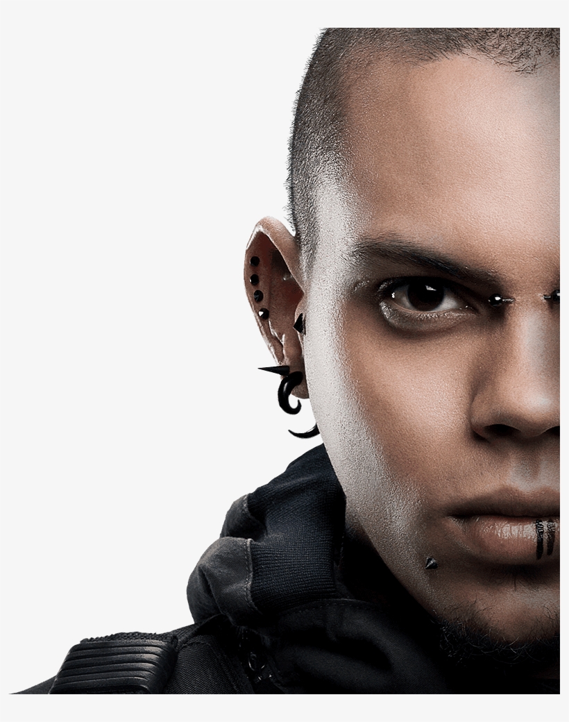 Check Out The New Images That Have Come With The New - Tribute Von Panem Messalla, transparent png #1281884