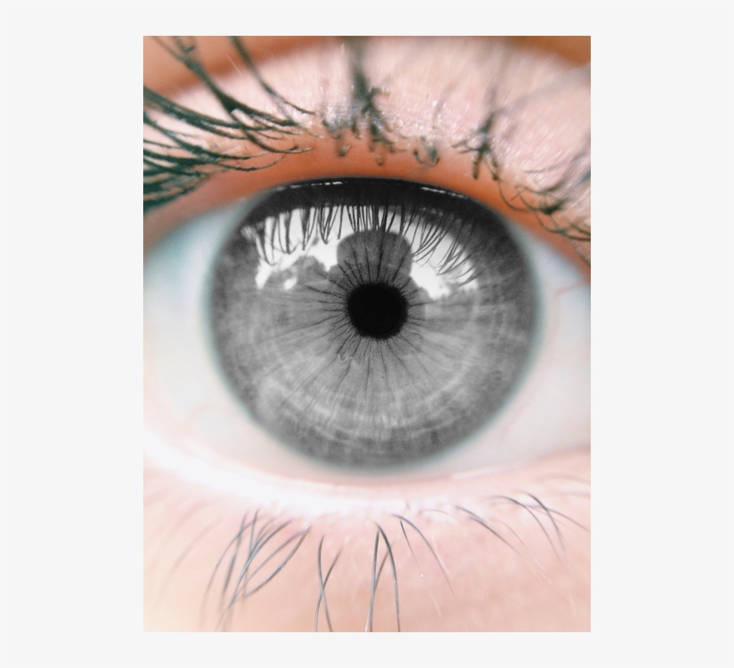 Iris - Grey Eyes, transparent png #1282635