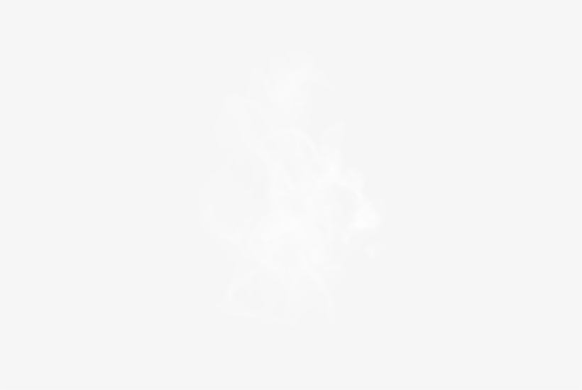 Fresh Tasting Blends - Darkness, transparent png #1283733