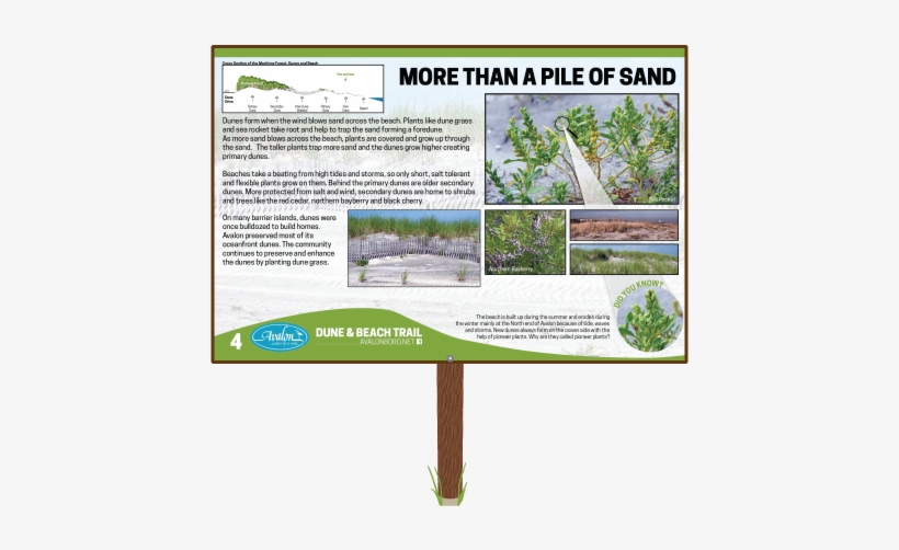 More Than A Pile Of Sand Sign - Big Money Rustlas (2010), transparent png #1284076