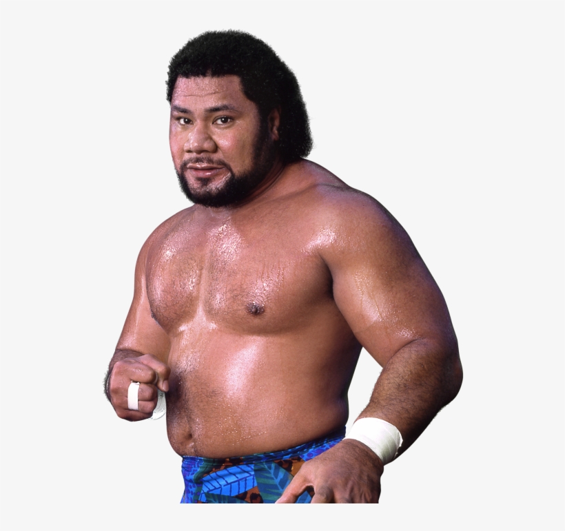 Latest Cb Hulk Hogan Andre The Giant - Haku Wwf, transparent png #1284270
