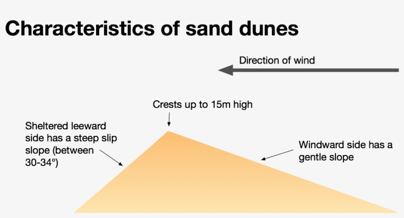 The Characteristics Of Sand Dunes - Diagram, transparent png #1284892