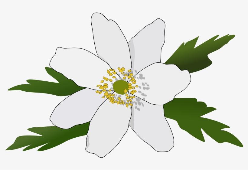 Free Clipart - Anemoner Clipart, transparent png #1284932
