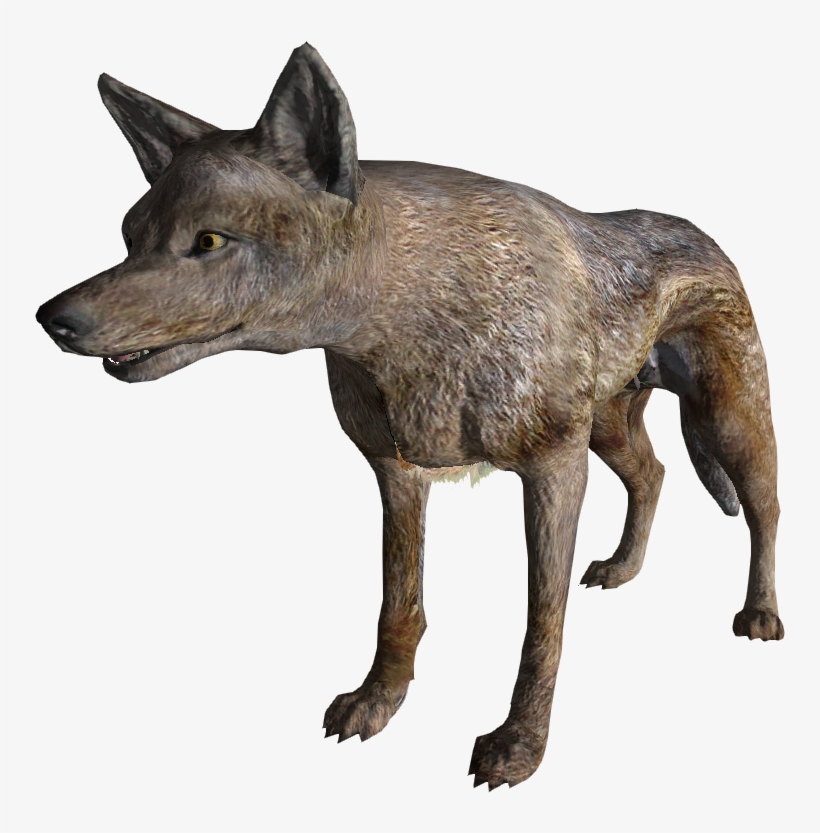 Coyote - Fallout Coyote, transparent png #1287967