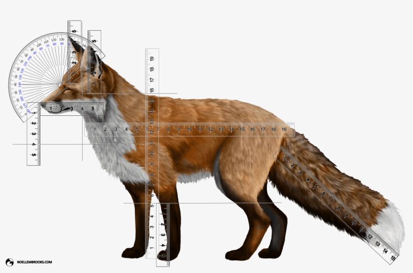 Fox Domestication And Pet Ownership, transparent png #1287969