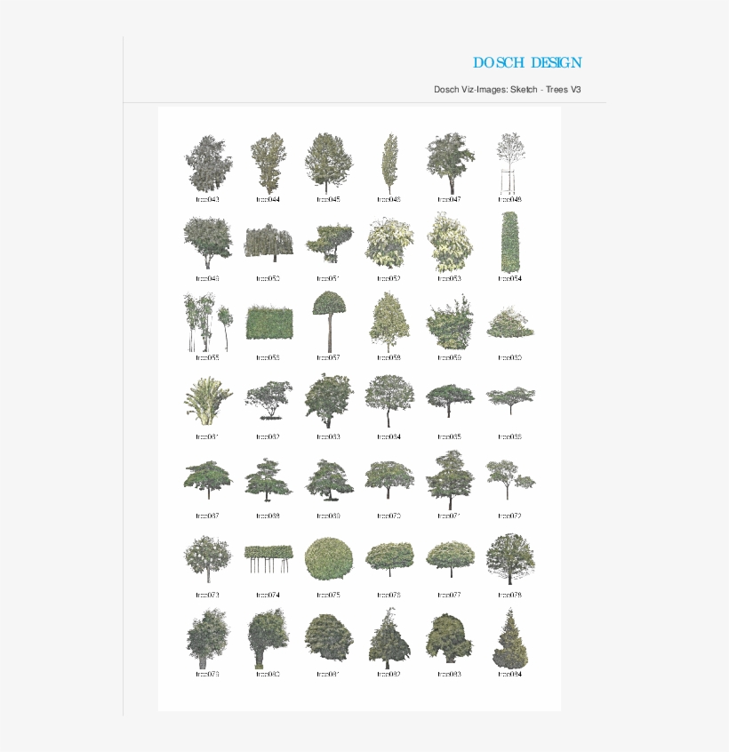 Attractive Quantity Discounts Up To 20% Are Displayed - Larch, transparent png #1288055